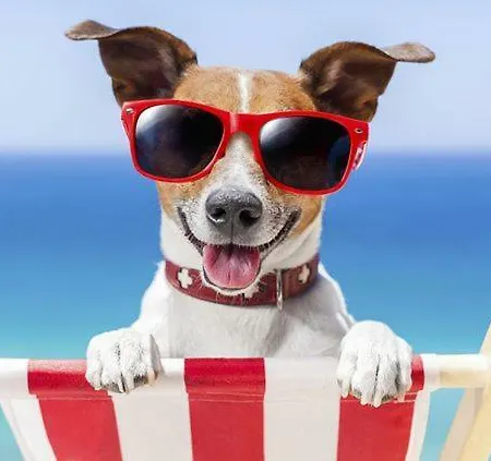 El Amanecer De 2 Кальпе