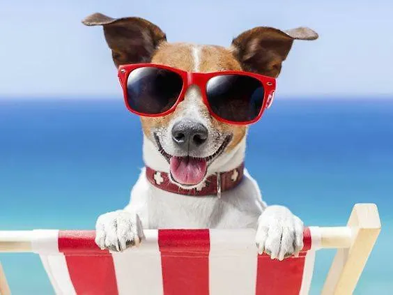 El Amanecer De 2 卡尔佩